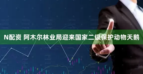 N配资 阿木尔林业局迎来国家二级保护动物天鹅